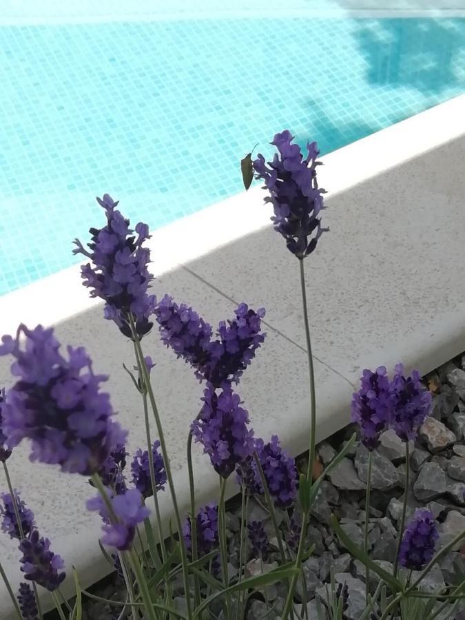Vila Martina - Bellevue Šmrika Zewnętrze zdjęcie